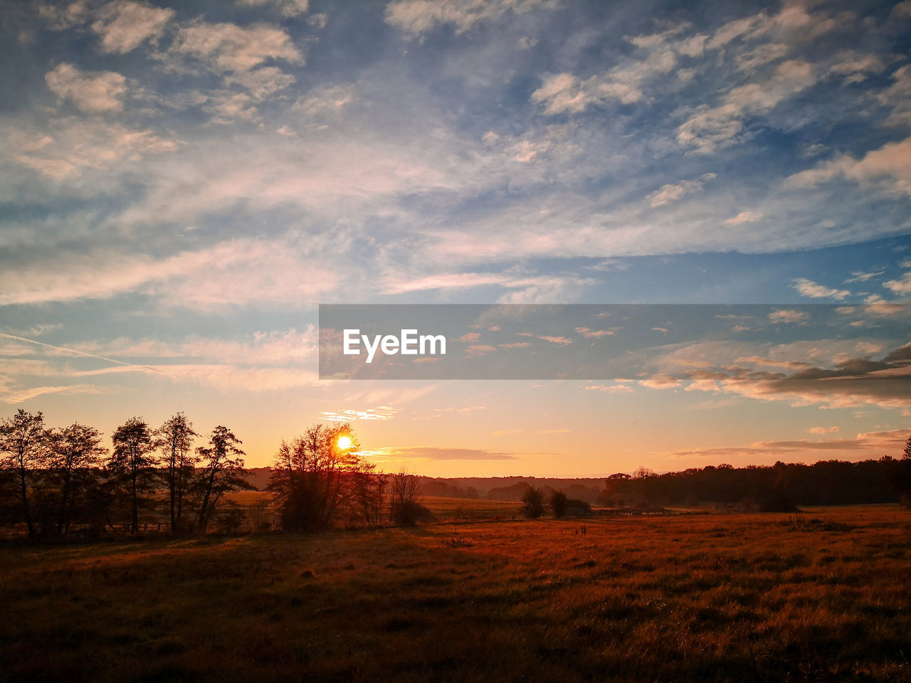 Scenic view of field against sky during sunset