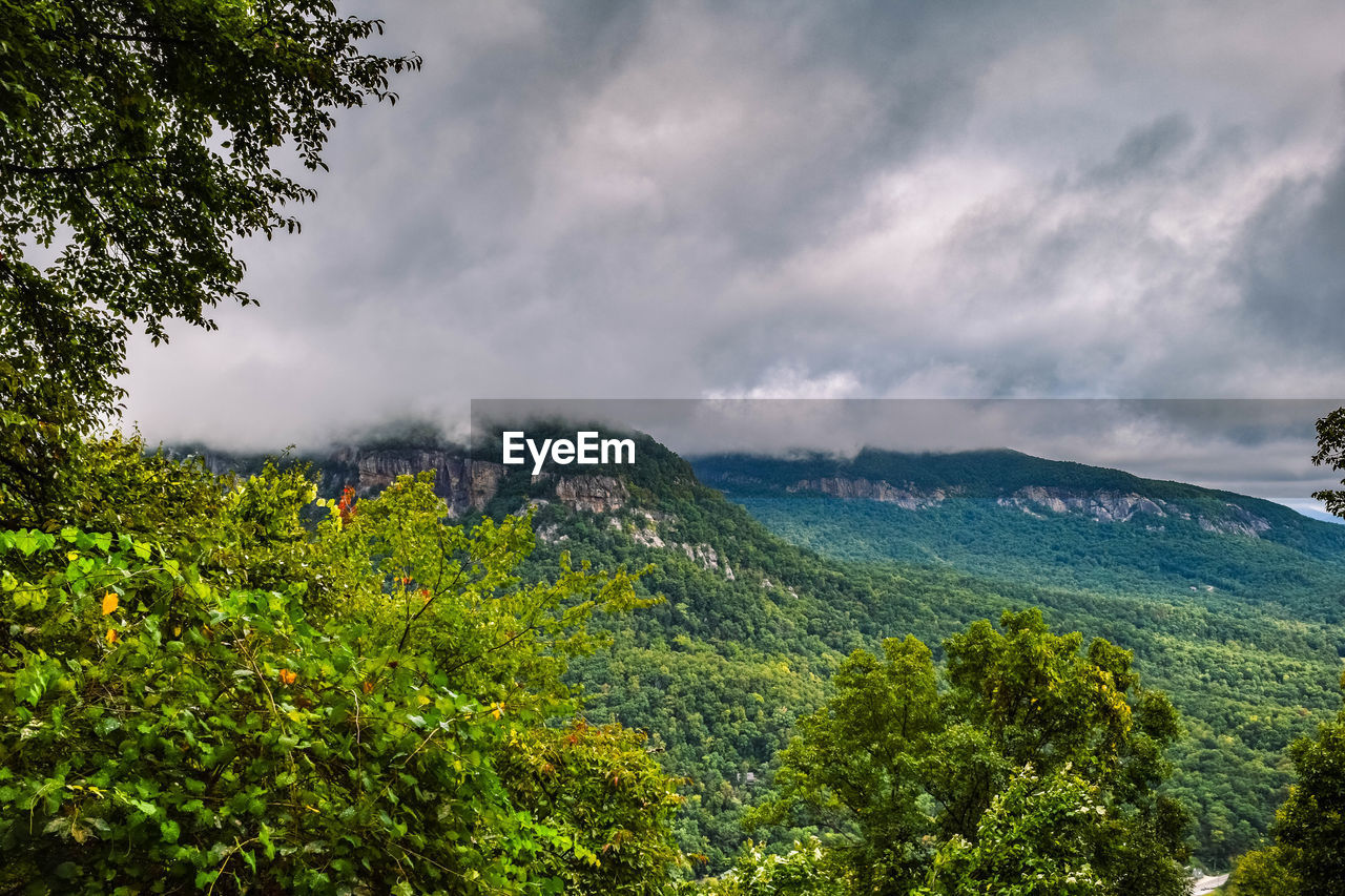 High angle shot of lush foliage against clouds