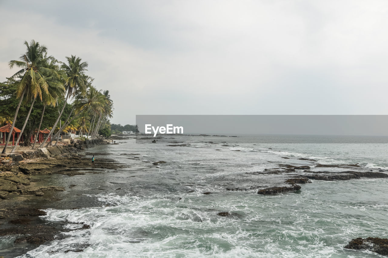 SCENIC VIEW OF PALM TREES ON BEACH