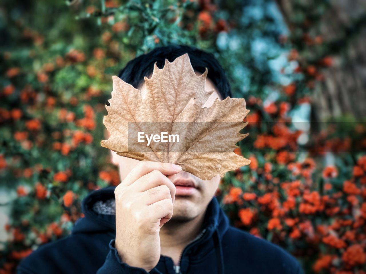 LOW ANGLE VIEW OF PERSON HOLDING MAPLE LEAF