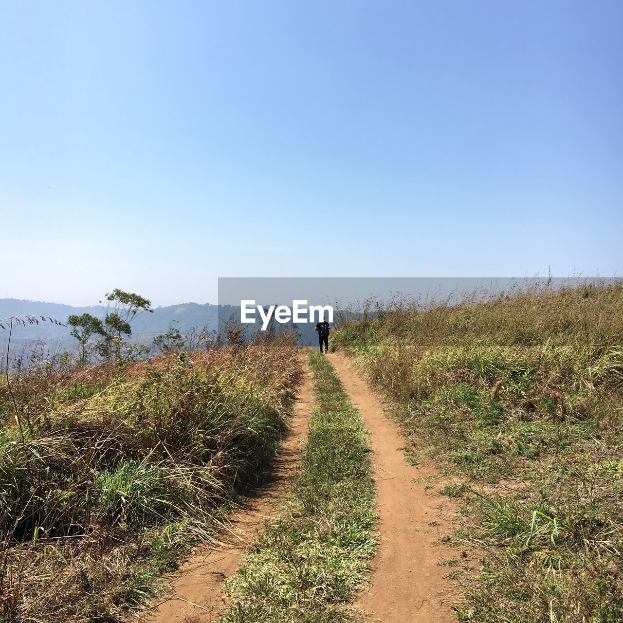 REAR VIEW OF PEOPLE WALKING ON FOOTPATH AGAINST CLEAR SKY