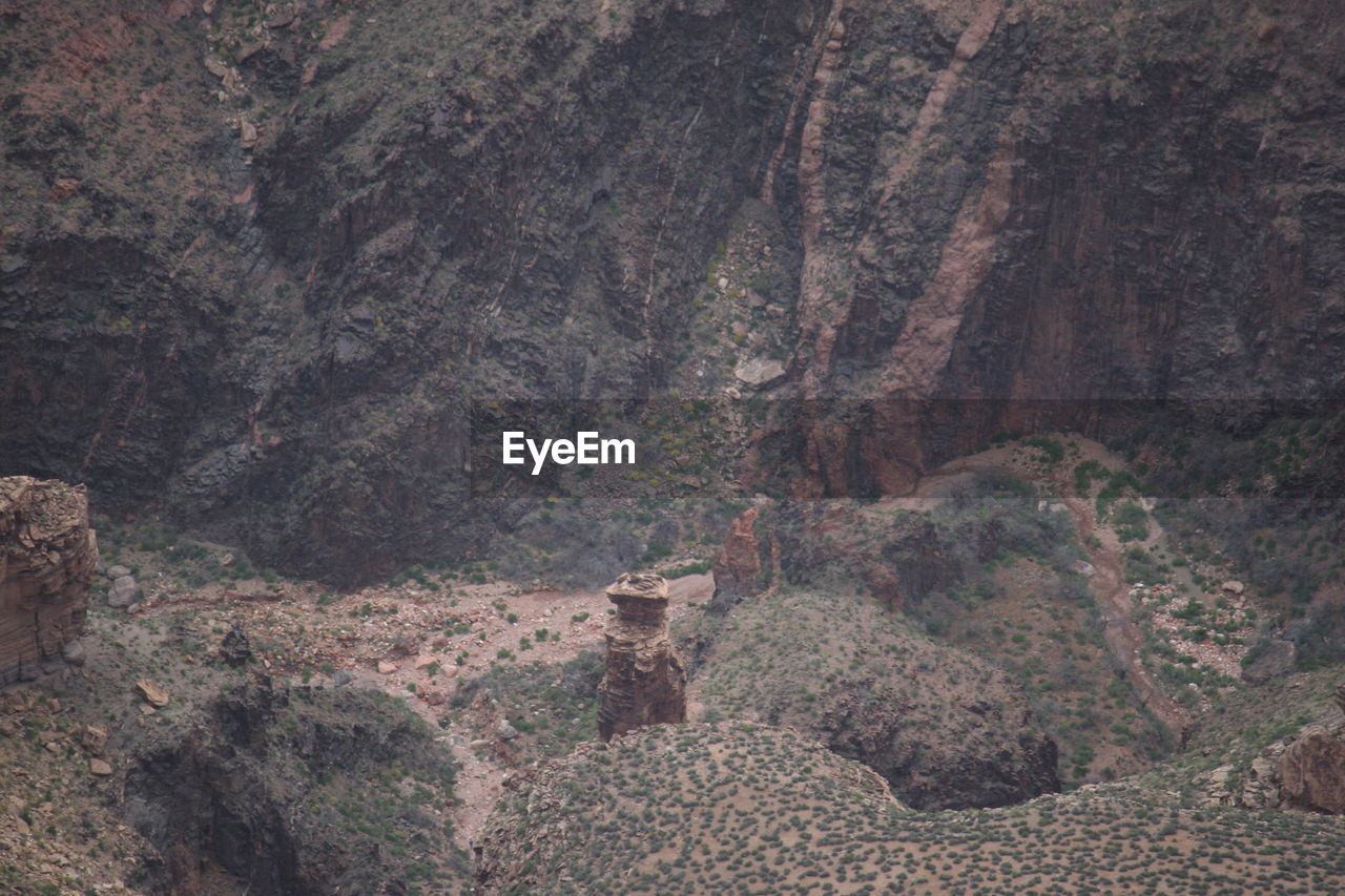 VIEW OF A TREE IN A MOUNTAIN