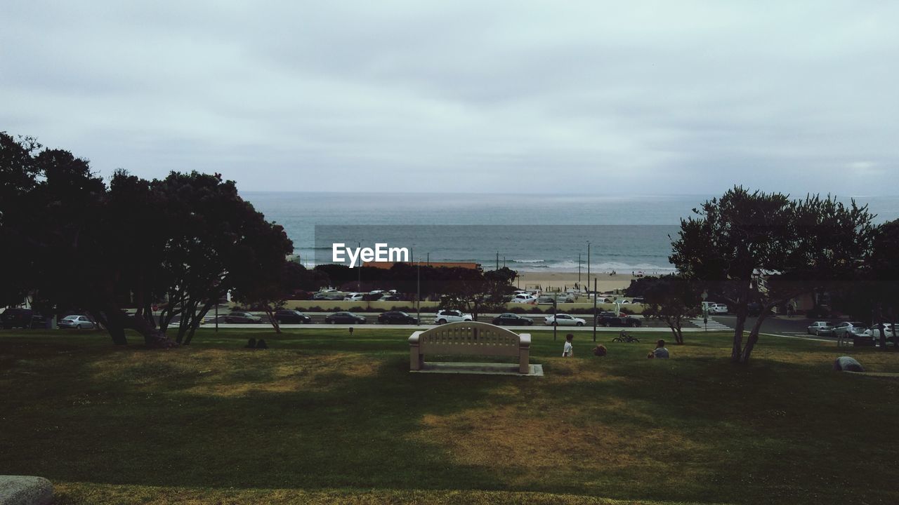 TREES ON LANDSCAPE AGAINST SEA