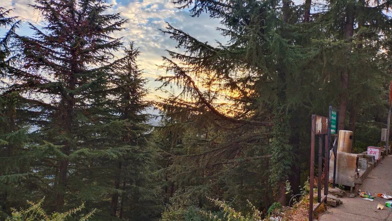 tree, plant, nature, growth, forest, day, land, beauty in nature, outdoors, woodland, sky, green, trail, leisure activity, tranquility, wilderness, men, autumn, lifestyles, women