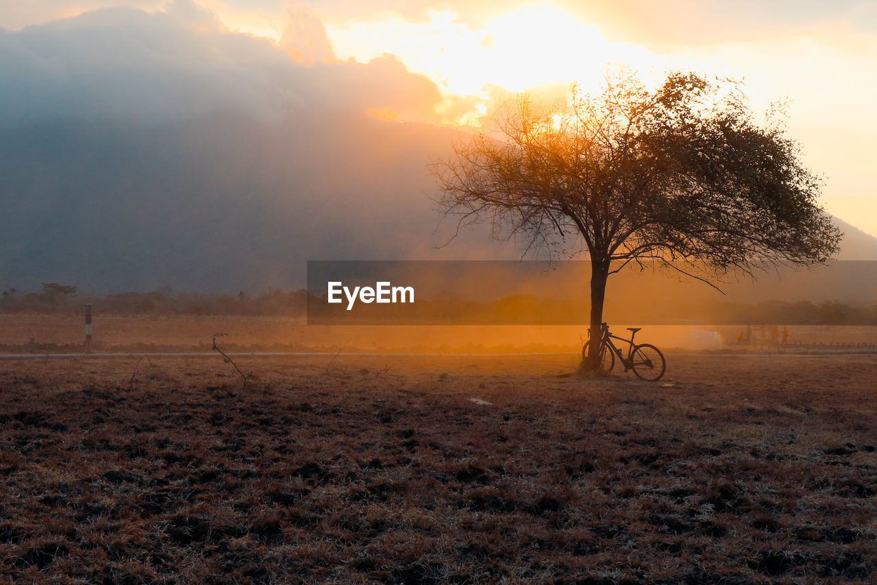 Bicycle by tree on field against sky during sunset