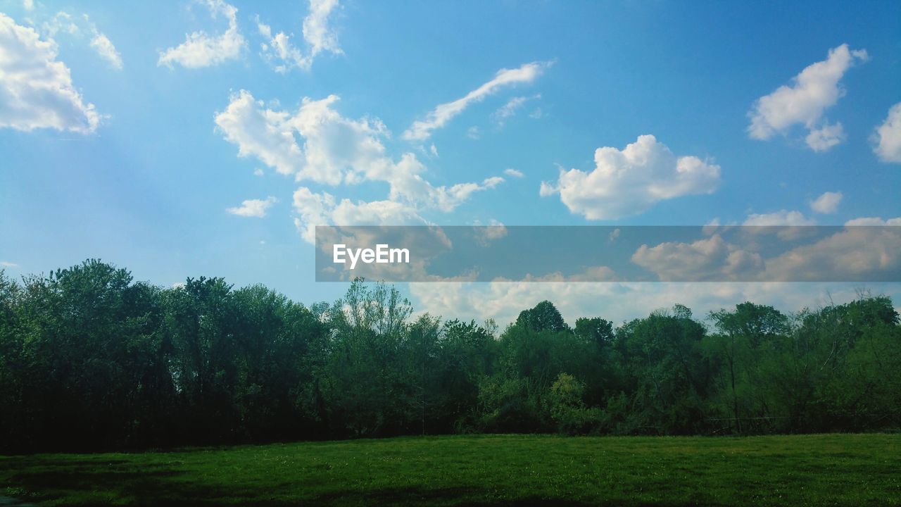 Scenic view of grassy field by trees against sky