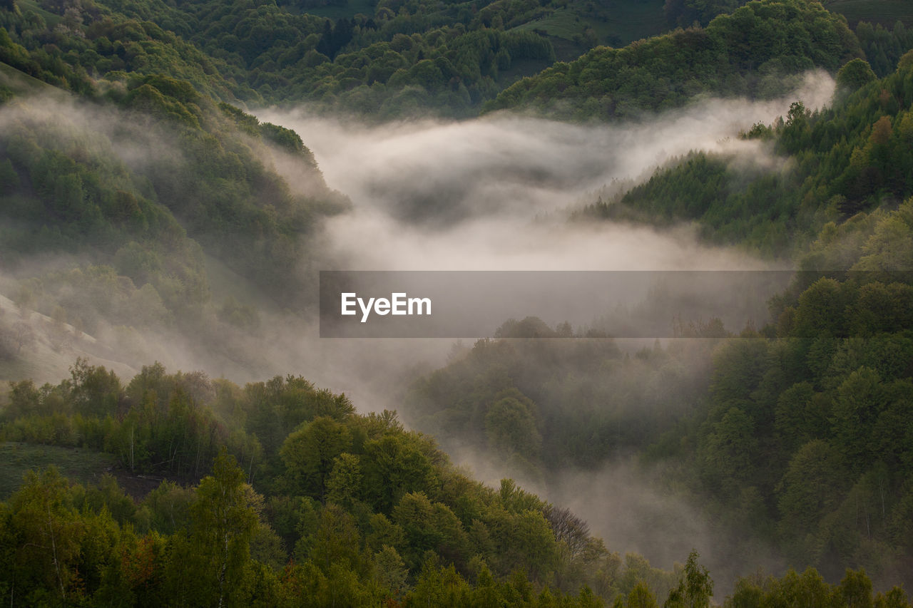 Mountain landscape in the spring season.