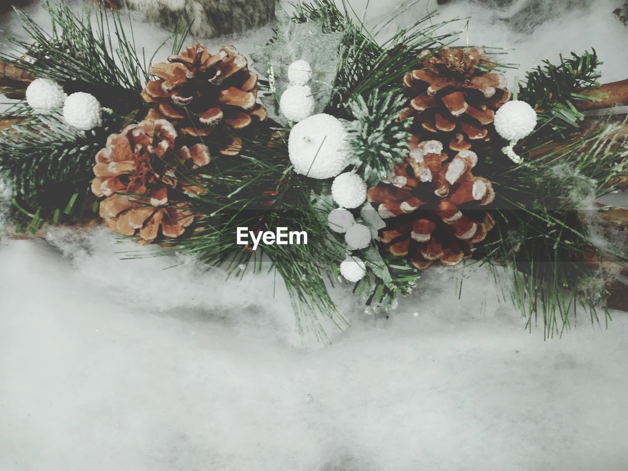 HIGH ANGLE VIEW OF PINE CONES ON SNOW
