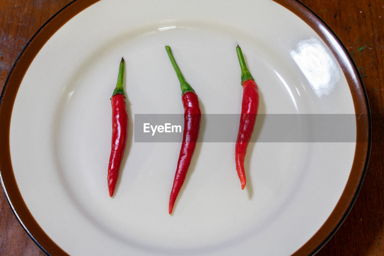 HIGH ANGLE VIEW OF RED CHILI PEPPER ON PLATE