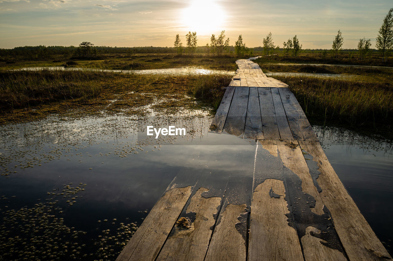 Partially flooded wooden walkways for swamp walks in a sunset reserve. yelnia bog, belarus