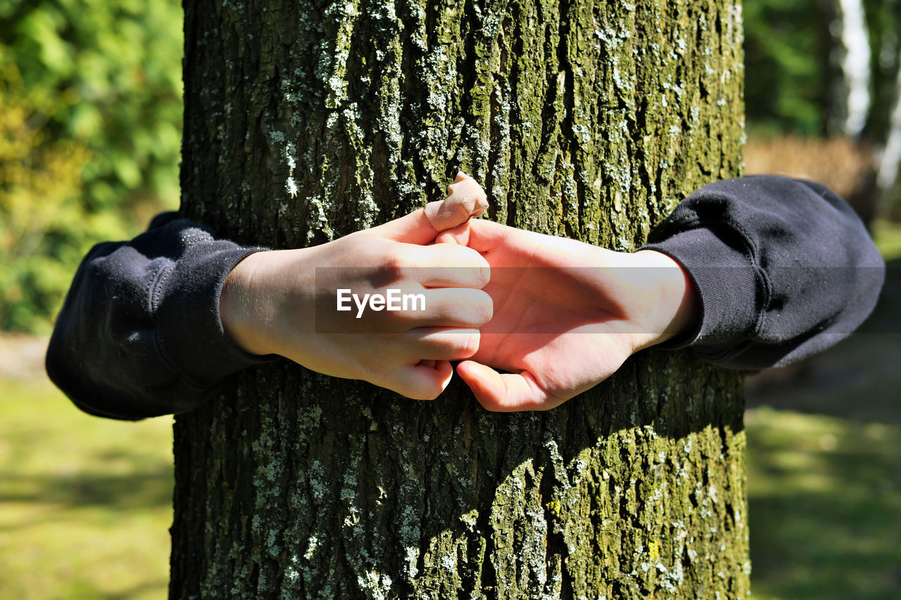 Kid hands embracing an oak tree trunk, feeling at one with nature. environmental protection concept