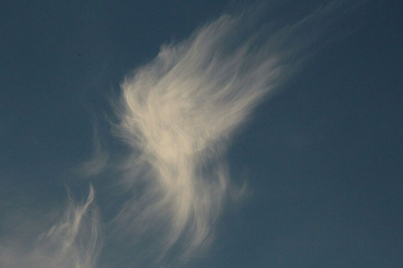 LOW ANGLE VIEW OF VAPOR TRAIL AGAINST SKY