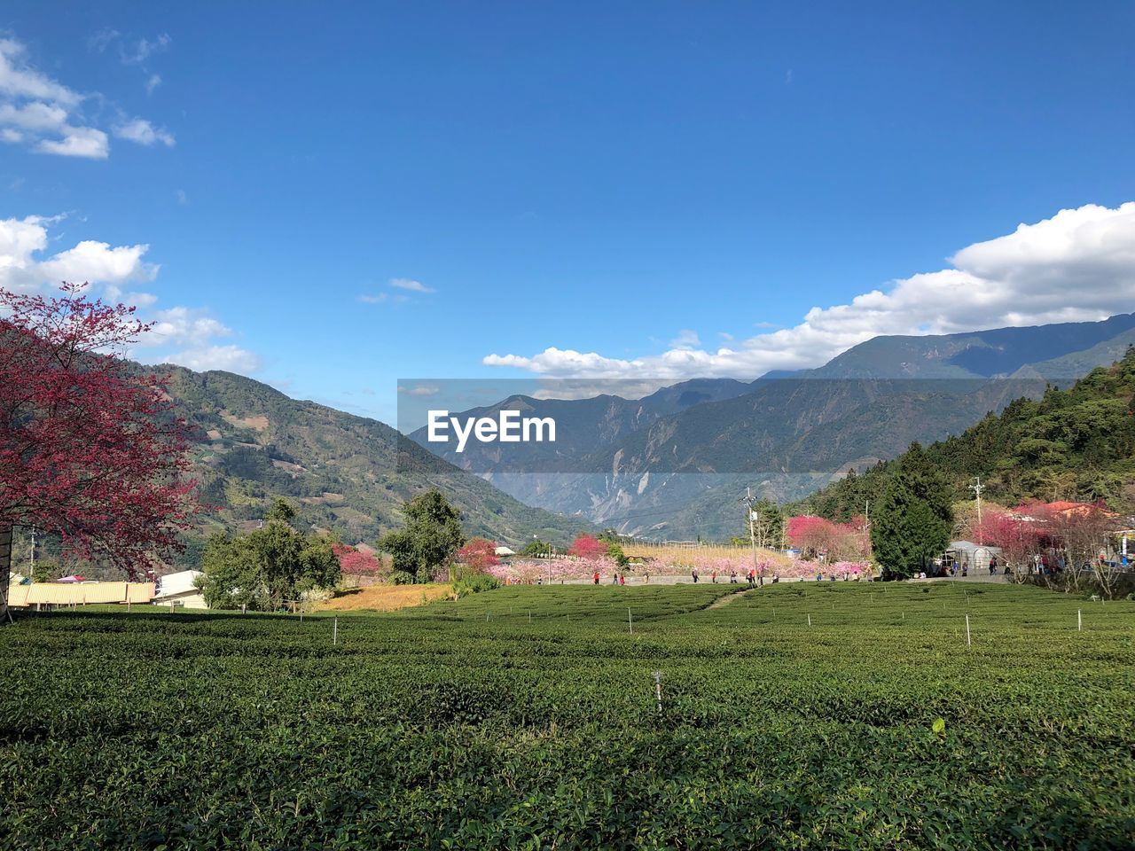 SCENIC VIEW OF FIELD AGAINST MOUNTAINS