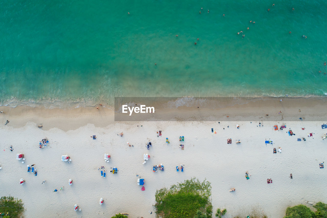 Aerial view top down of coconut palm trees on the beautiful patong beach phuket thailand amazing sea