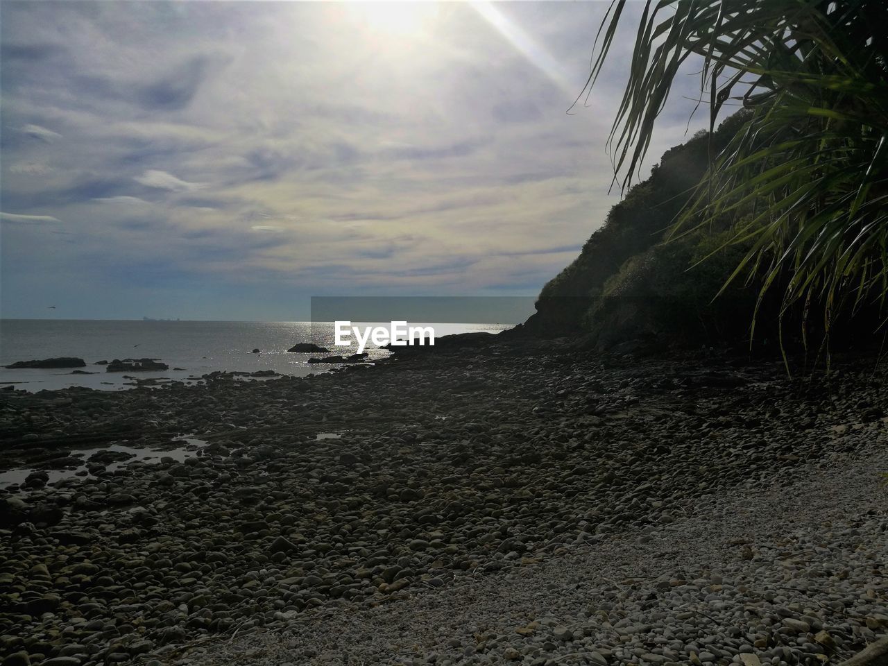 SCENIC VIEW OF BEACH