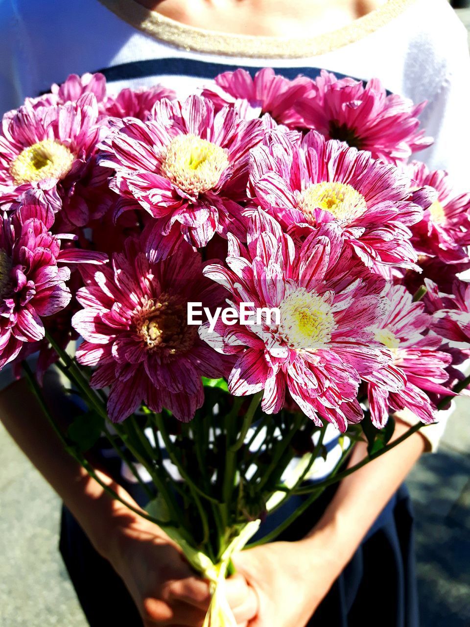 CLOSE-UP OF FLOWERS