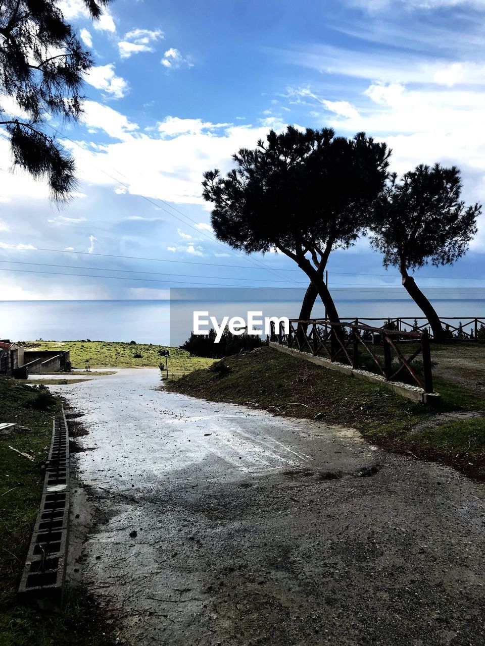 TREES GROWING ON FIELD BY SEA AGAINST SKY