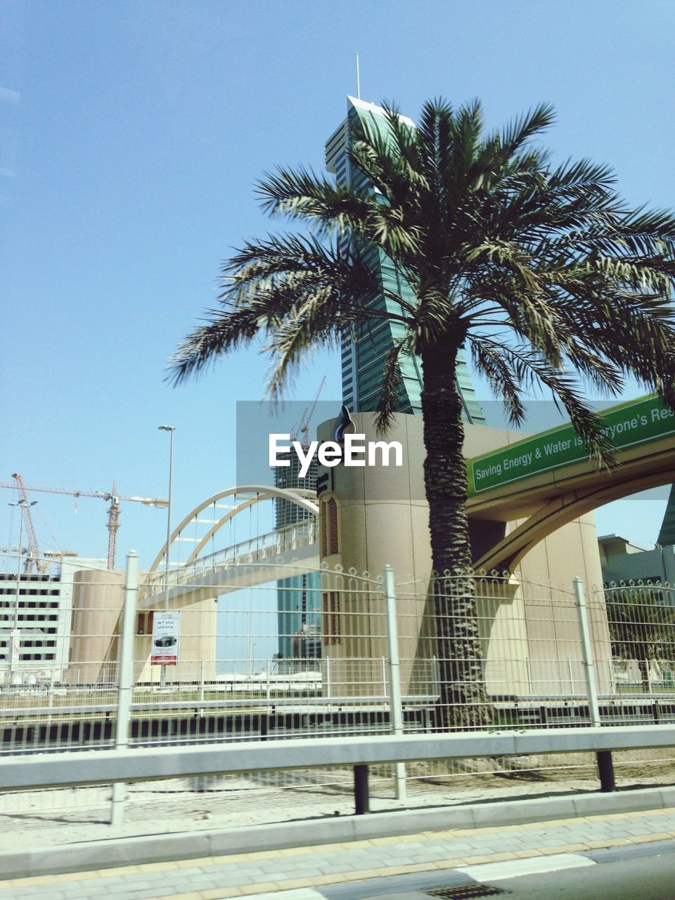 LOW ANGLE VIEW OF PALM TREES IN CITY