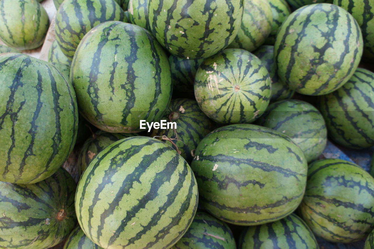 Full frame shot of watermelons fruits for sale at market stall