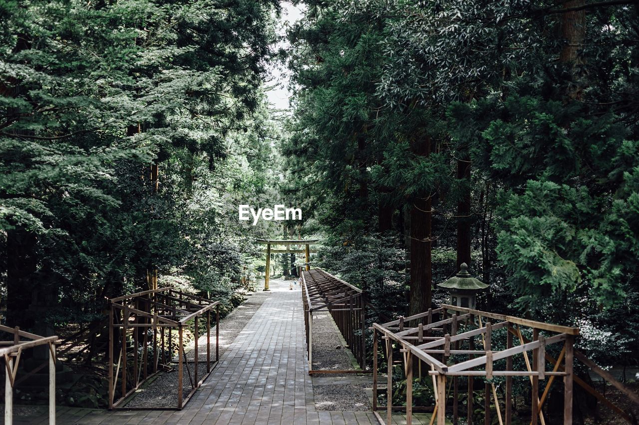 EMPTY TABLES AND CHAIRS IN FOREST