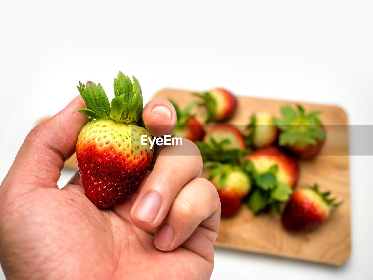 MIDSECTION OF PERSON HOLDING STRAWBERRIES