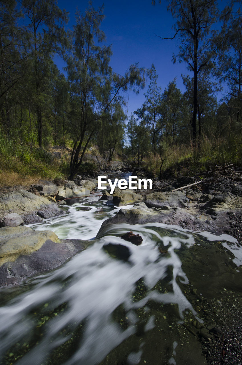 Scenic view of river in forest against sky