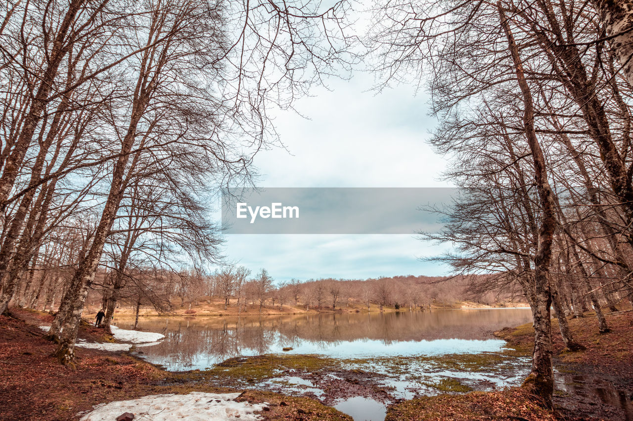 SCENIC VIEW OF BARE TREES BY LAKE AGAINST SKY