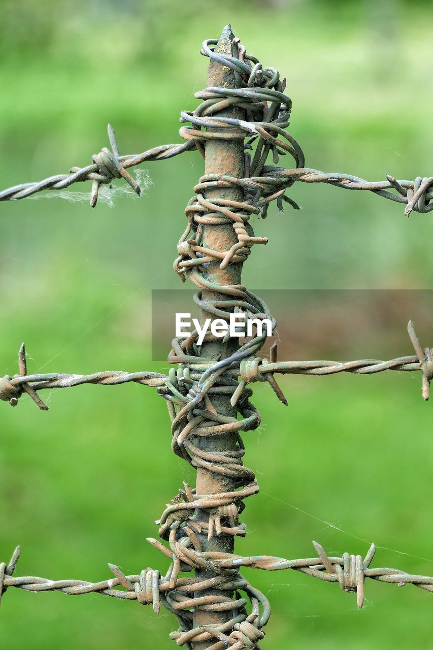 Close-up of barbed wire fence