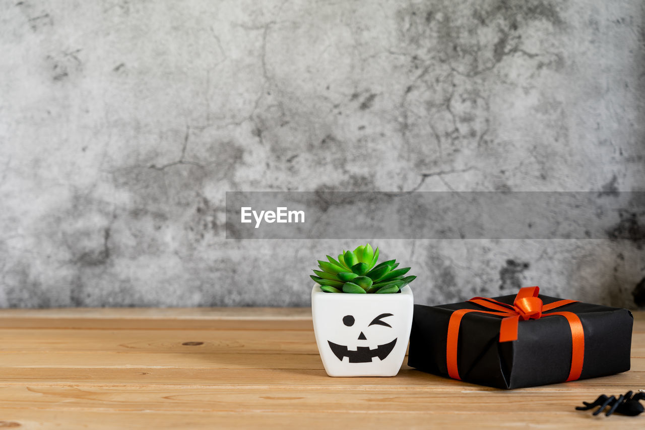 POTTED PLANTS ON TABLE