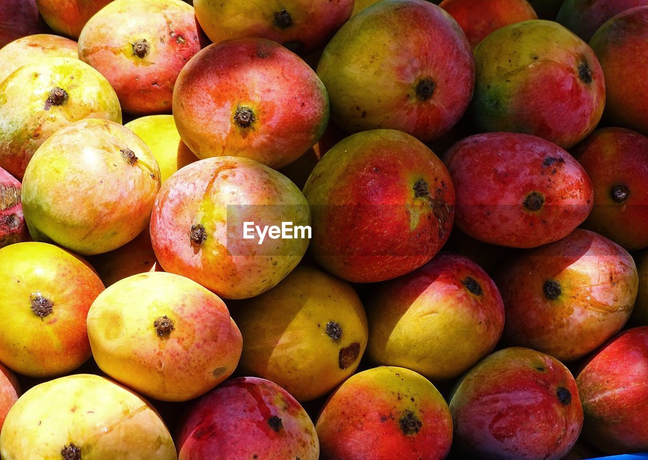 Sweet ripe mango fruits