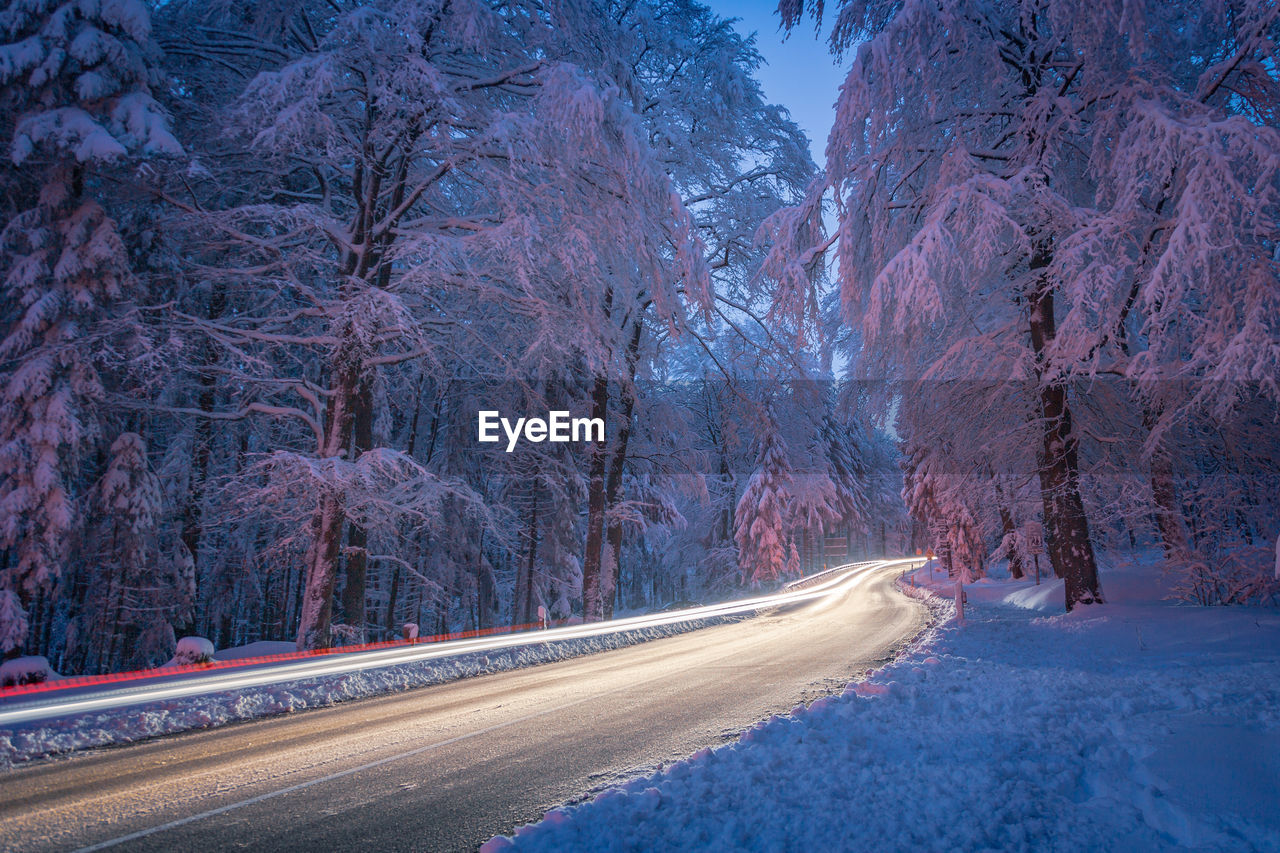 Road amidst trees during winter