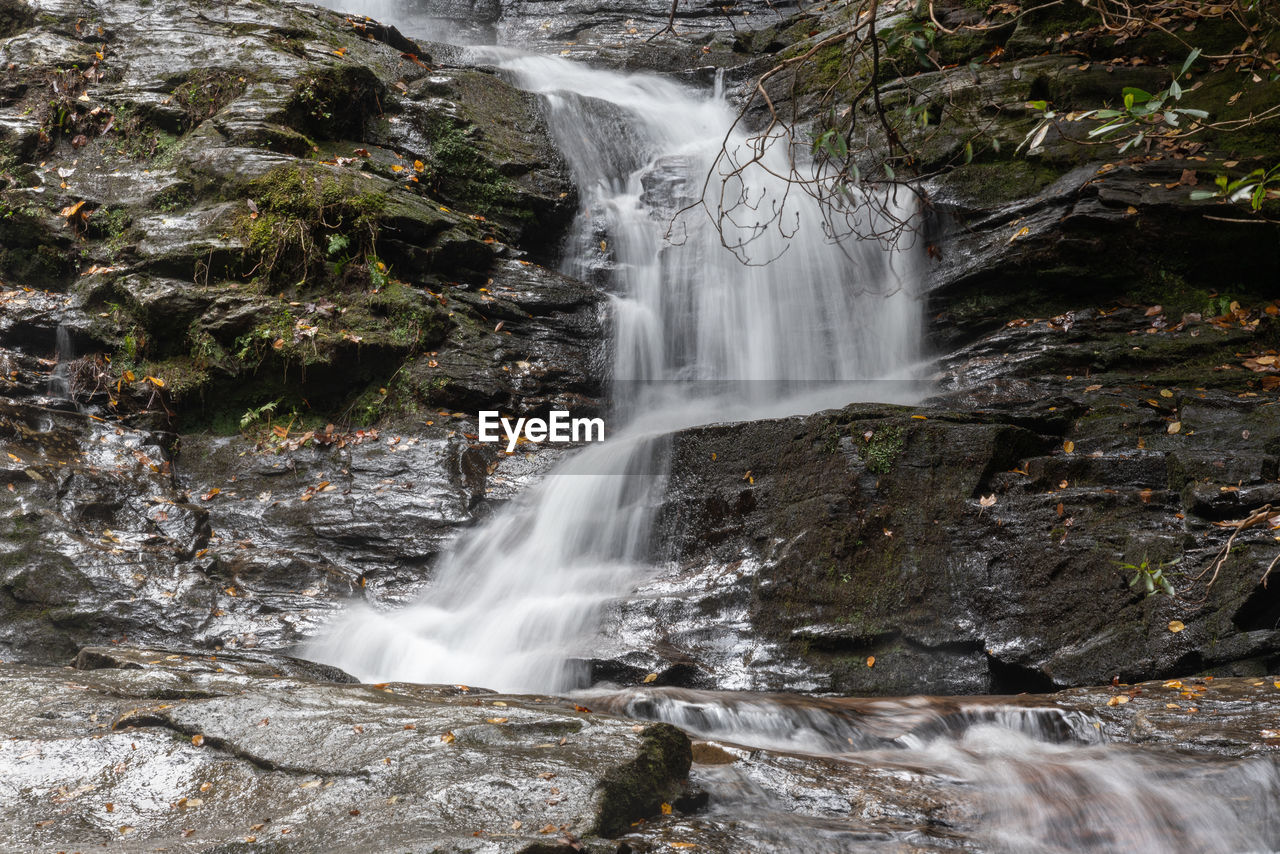 Scenic view of waterfall in forest