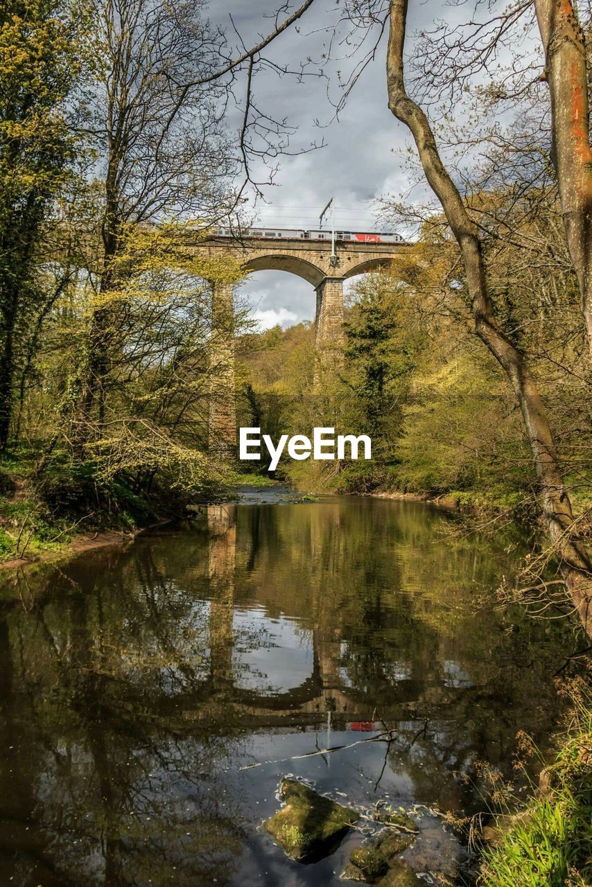 Railway bridge over pond in forest