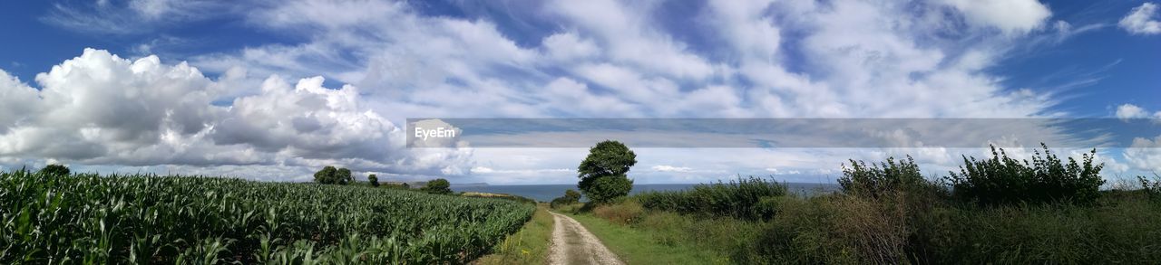 PANORAMIC SHOT OF AGRICULTURAL FIELD AGAINST SKY