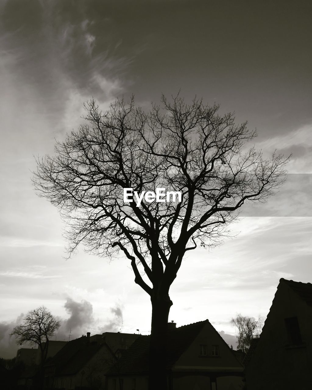 LOW ANGLE VIEW OF SILHOUETTE TREE AND BUILDING AGAINST SKY AT SUNSET