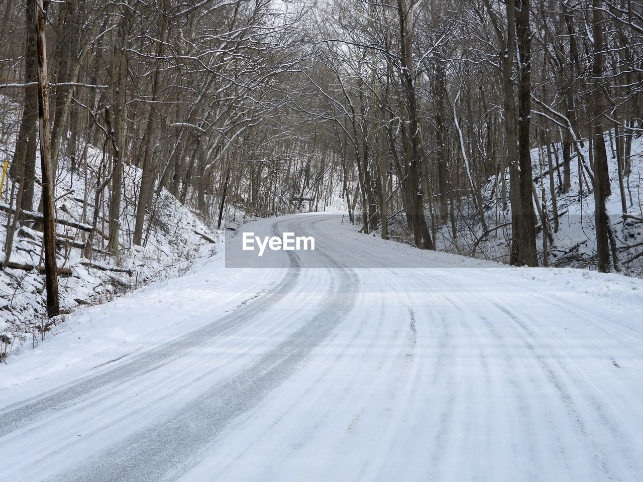 Snow covered road amidst bare trees during winter