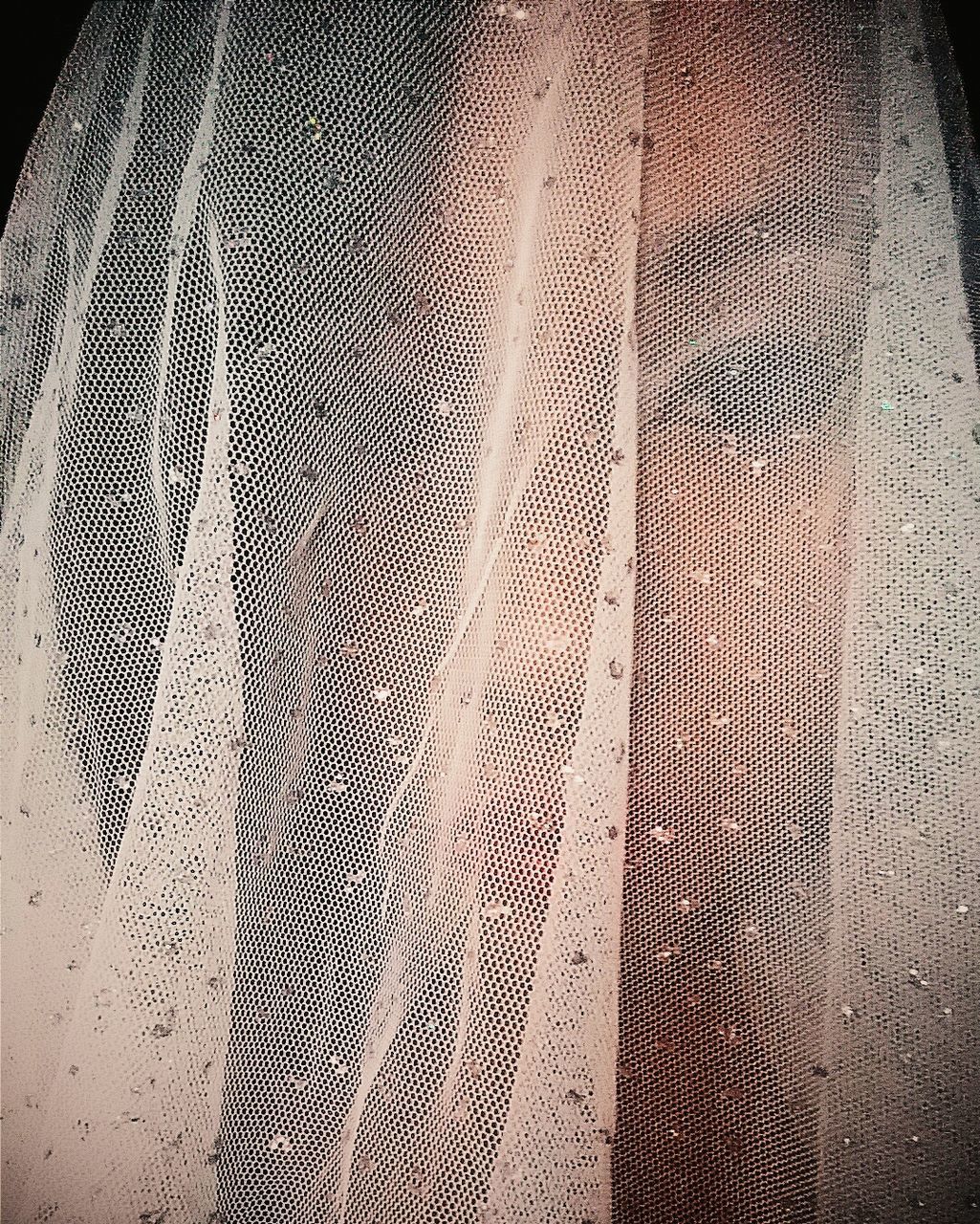 Close-up of bride under veil