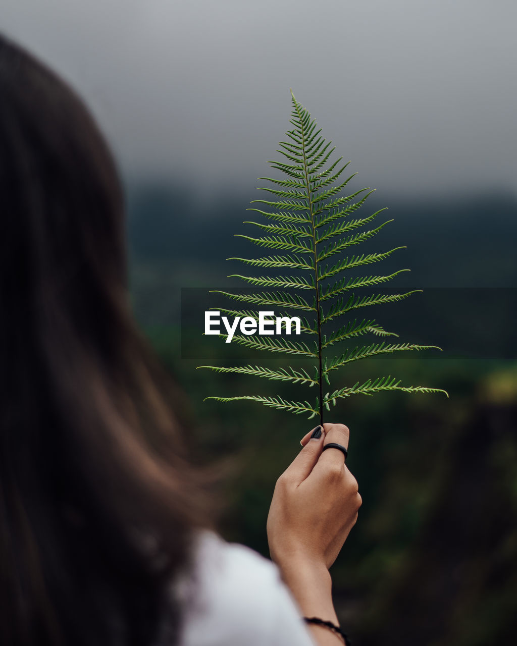 Close-up of woman holding plant