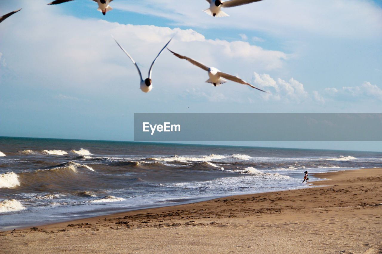 Close-up of seagulls on beach with girl walking in background against sky