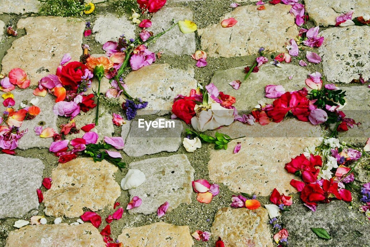 High angle view of fallen colorful flower petals on footpath in garden