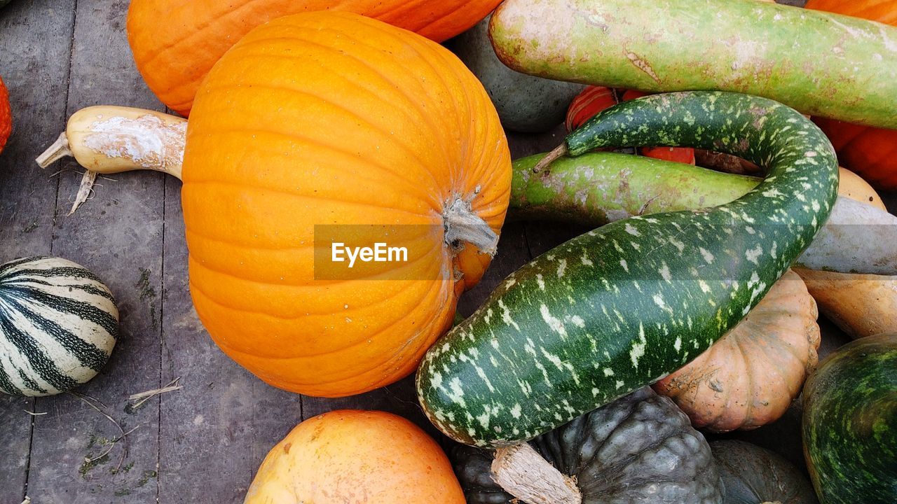 Close-up of pumpkin pumpkins