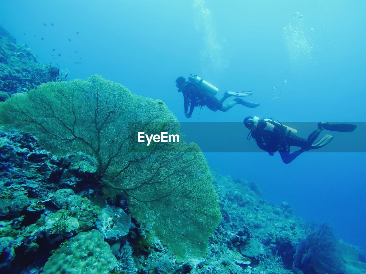 PEOPLE SWIMMING UNDERWATER