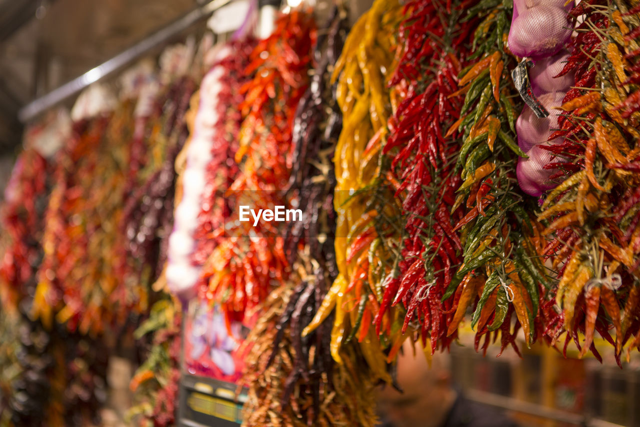 Fresh chilli hanging up in a market in barcelona, spain.