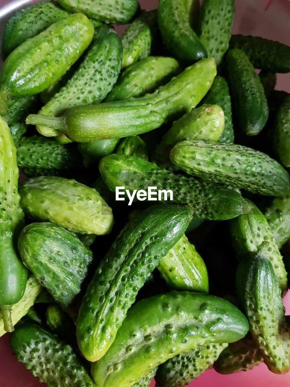 FULL FRAME SHOT OF GREEN CHILI