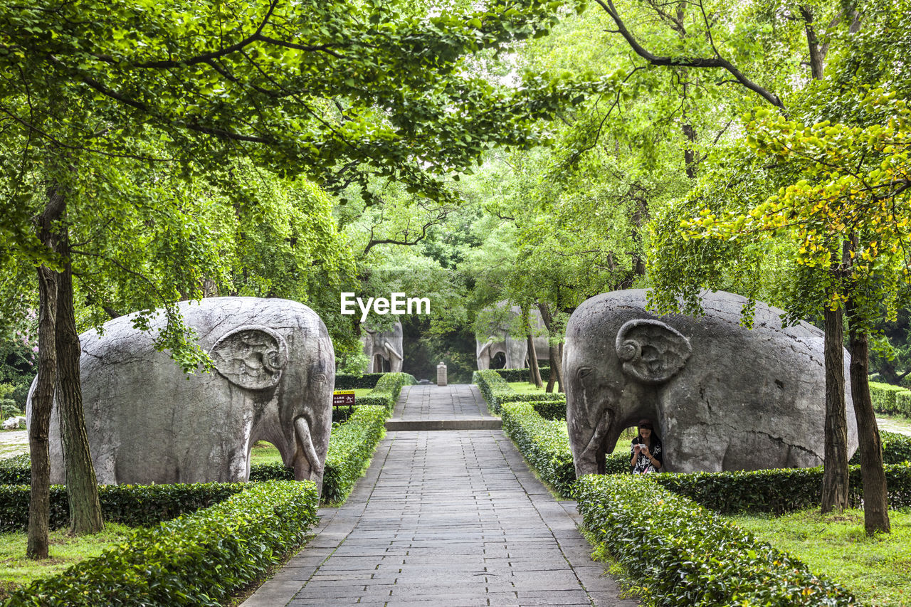 Footpath by elephant statues at ming xiaoling mausoleum