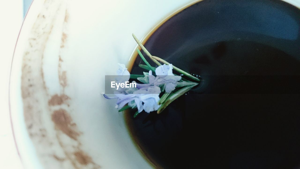 Flowers sinking in coffee