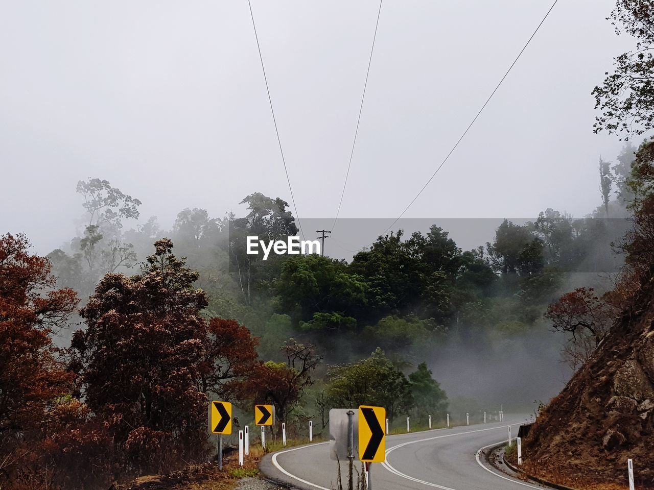ROAD BY TREES AGAINST SKY DURING FOGGY WEATHER