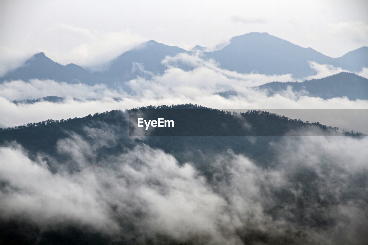 mountain, cloud, environment, sky, scenics - nature, fog, mountain range, landscape, beauty in nature, nature, snow, no people, land, travel, mist, tranquility, mountain peak, outdoors, forest, cold temperature, tree, winter, day, cloudscape, tranquil scene, monochrome, high up, idyllic, non-urban scene, travel destinations, black and white, morning, plant