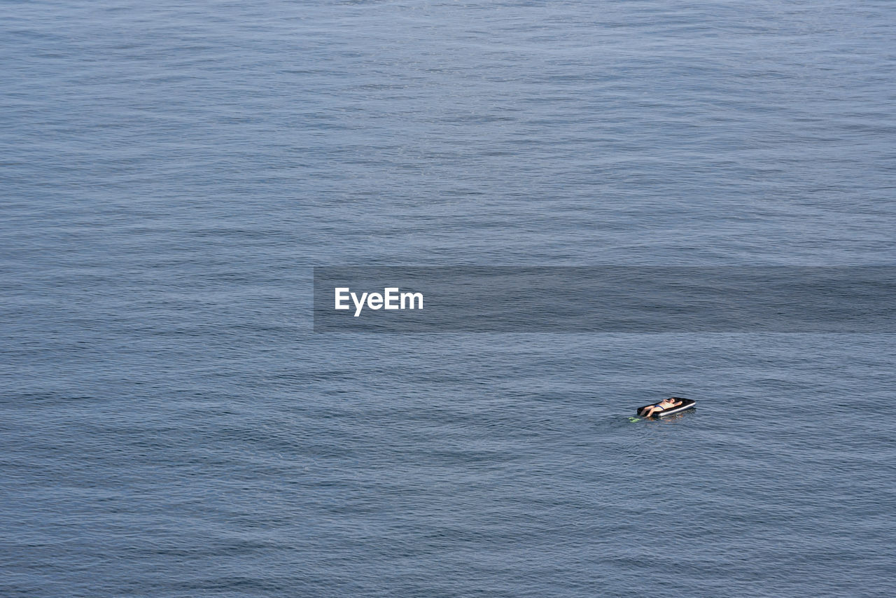 HIGH ANGLE VIEW OF BIRD IN SEA