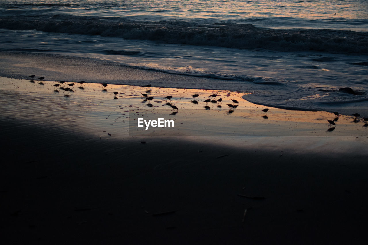 scenic view of beach against cloudy sky